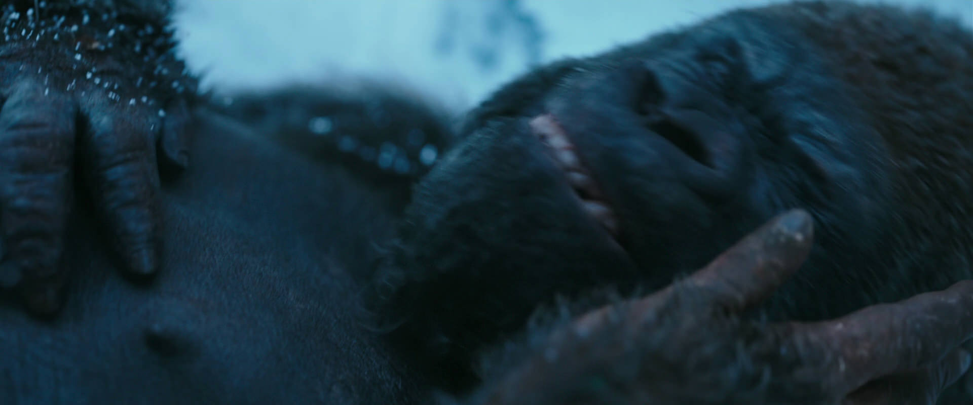 War for the Planet of the Apes (2017) HD screenshot 6608