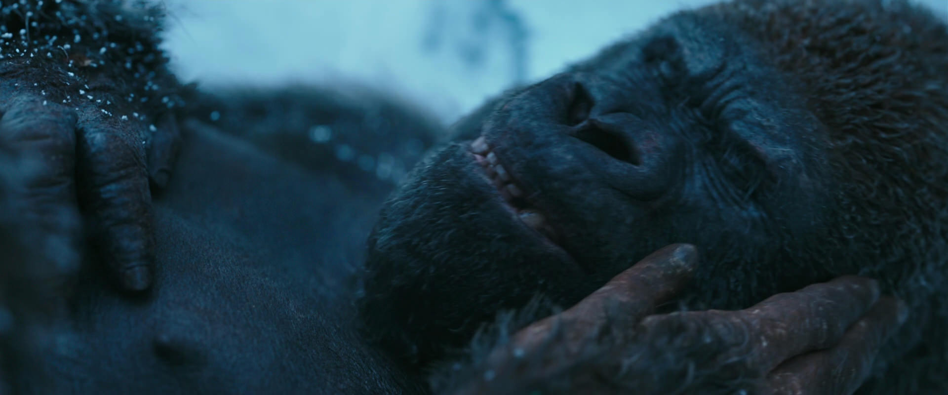 War for the Planet of the Apes (2017) screencap 6609