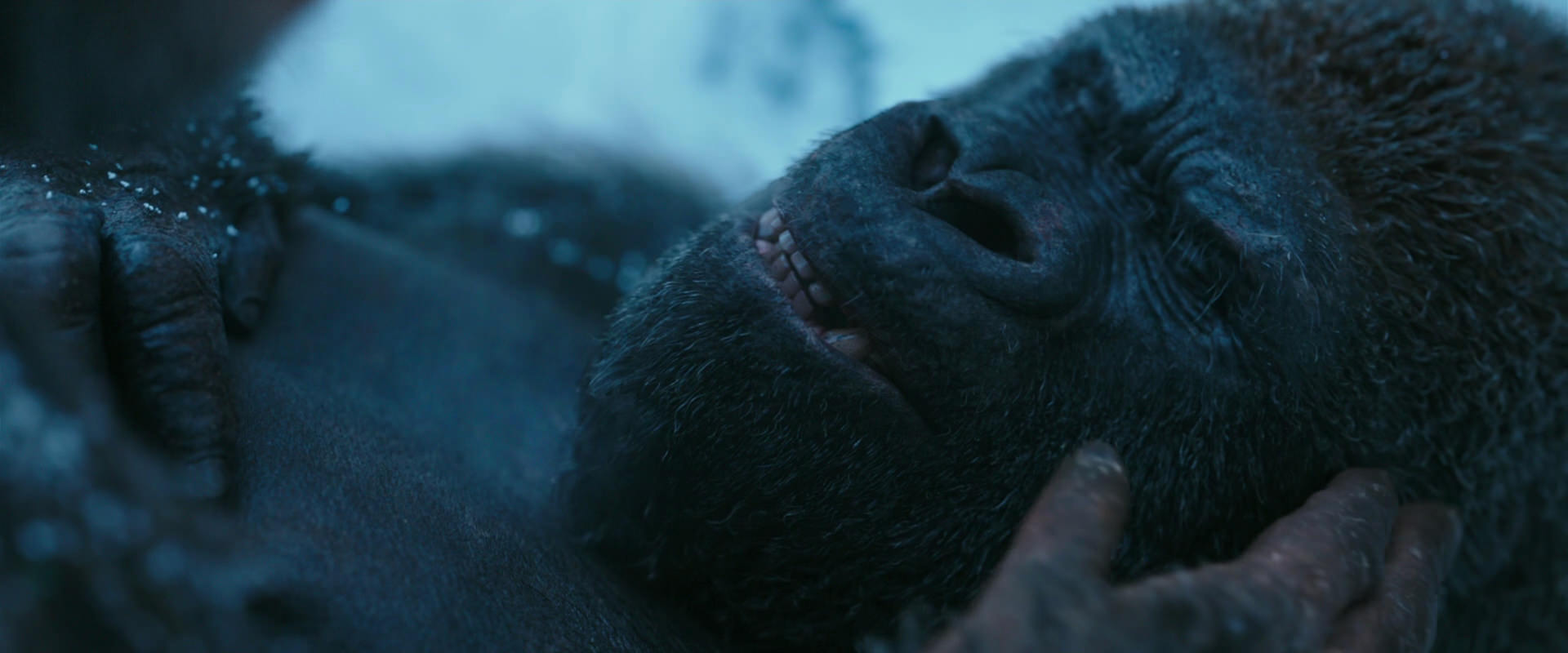 War for the Planet of the Apes (2017) movie still 6610