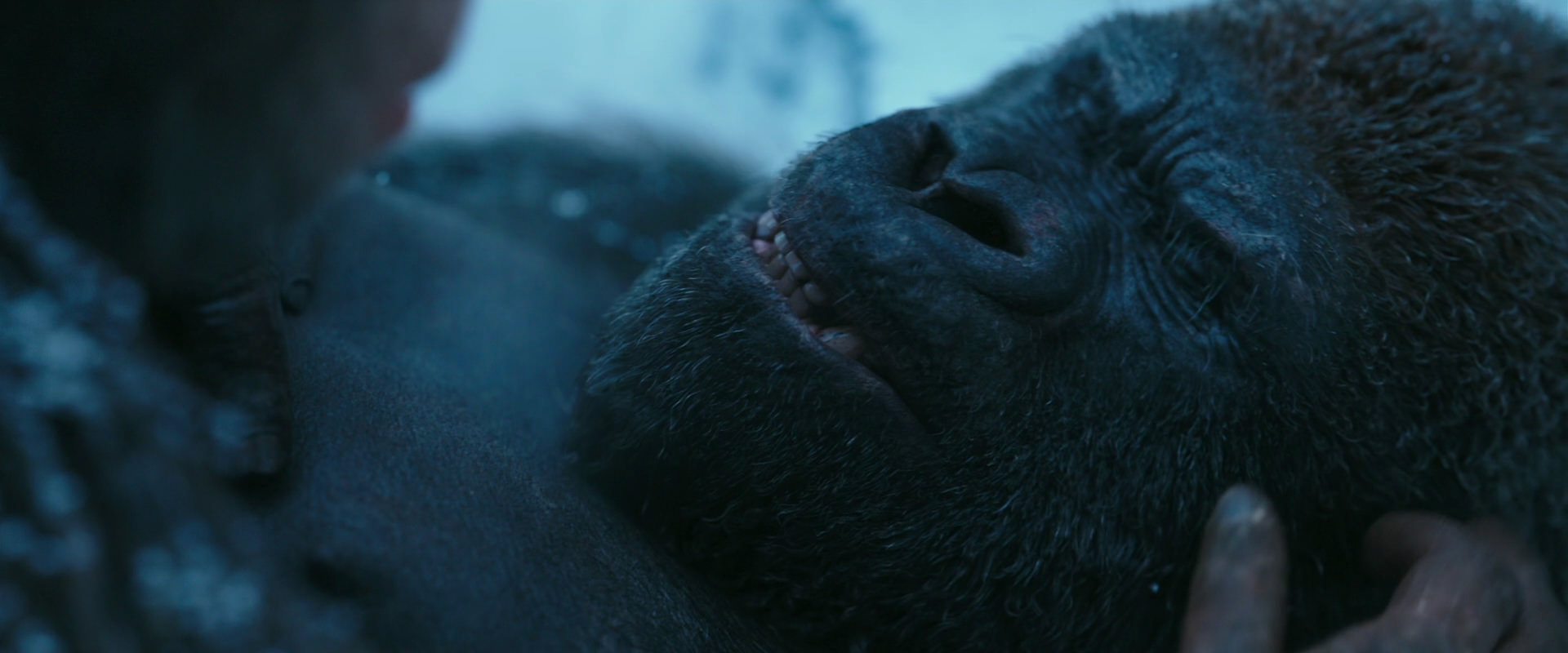War for the Planet of the Apes (2017) HD screenshot 6611