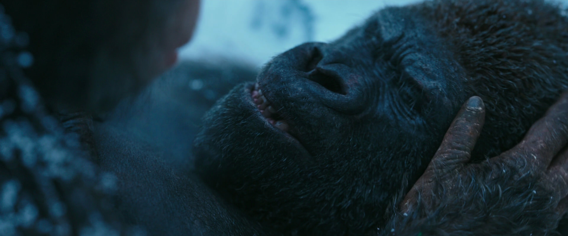 War for the Planet of the Apes (2017) screencap 6612