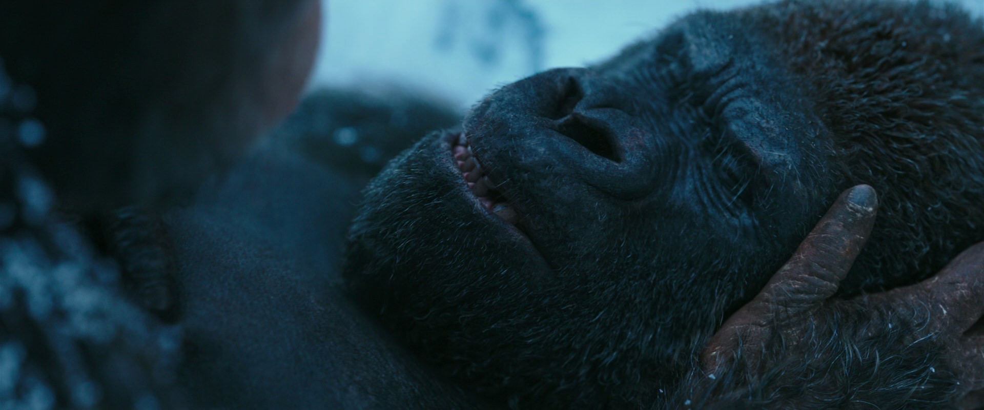 War for the Planet of the Apes (2017) movie still 6613
