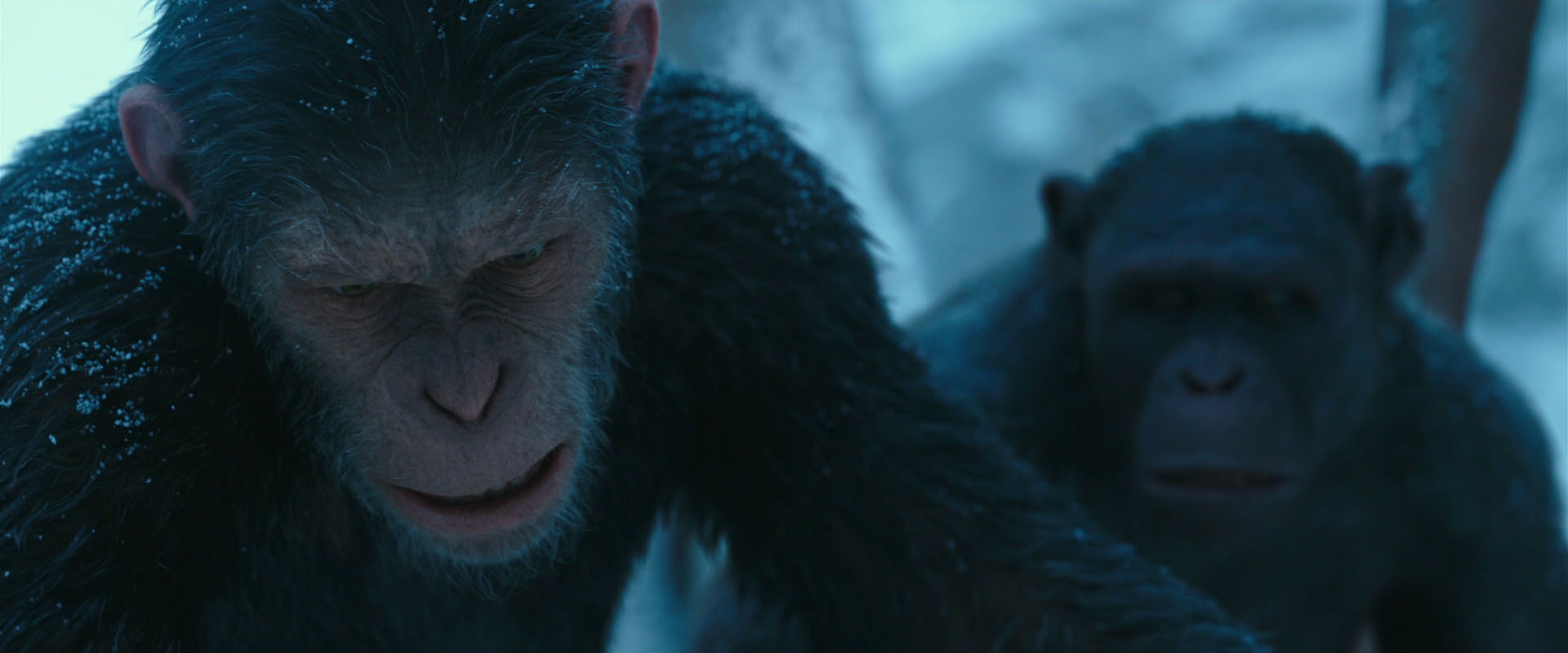 War for the Planet of the Apes (2017) HD screenshot 6614