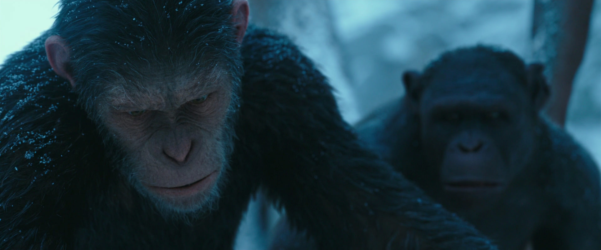 War for the Planet of the Apes (2017) screencap 6615