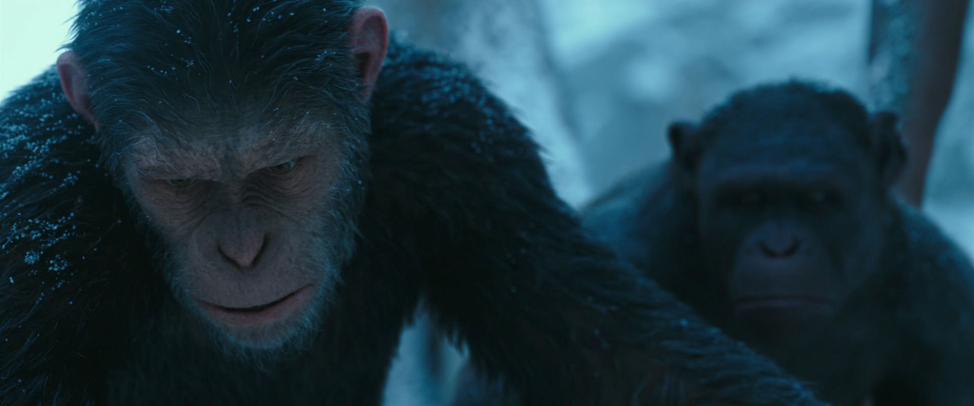 War for the Planet of the Apes (2017) movie still 6616