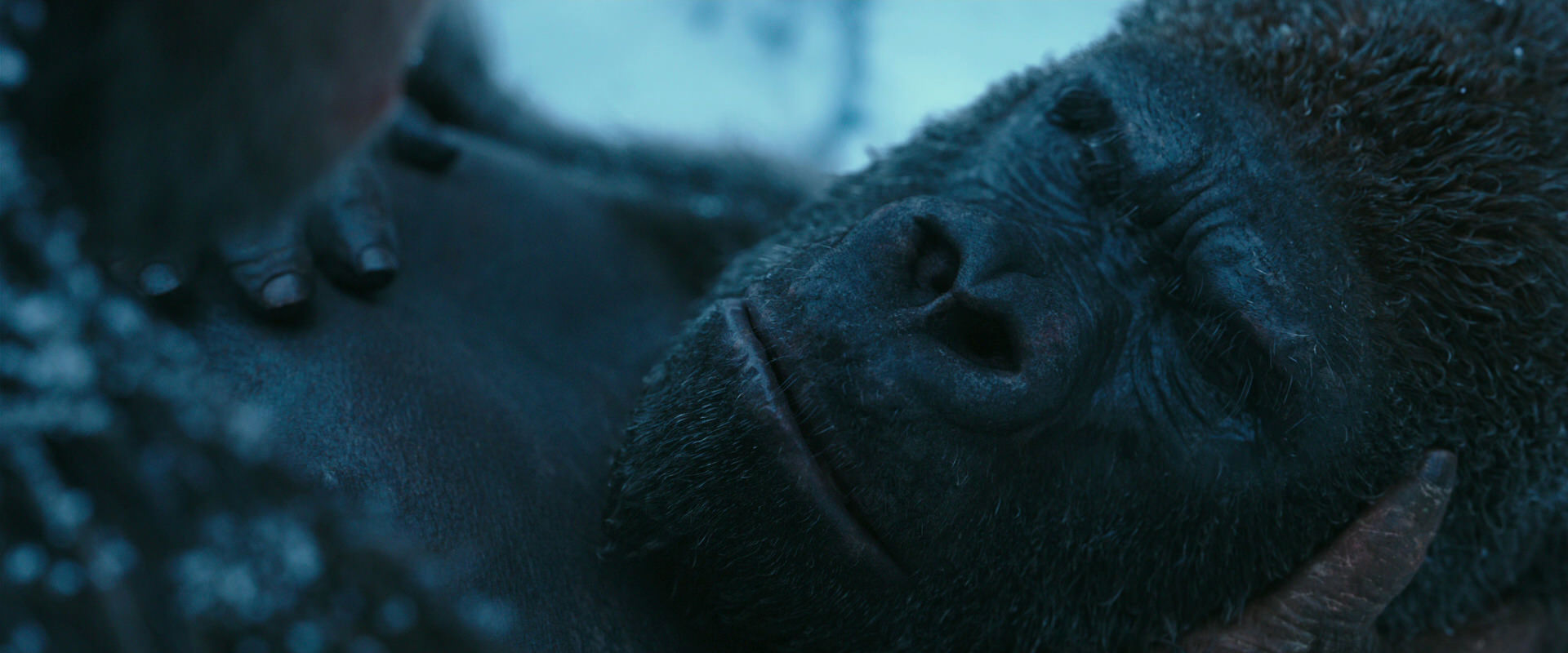 War for the Planet of the Apes (2017) HD screenshot 6617