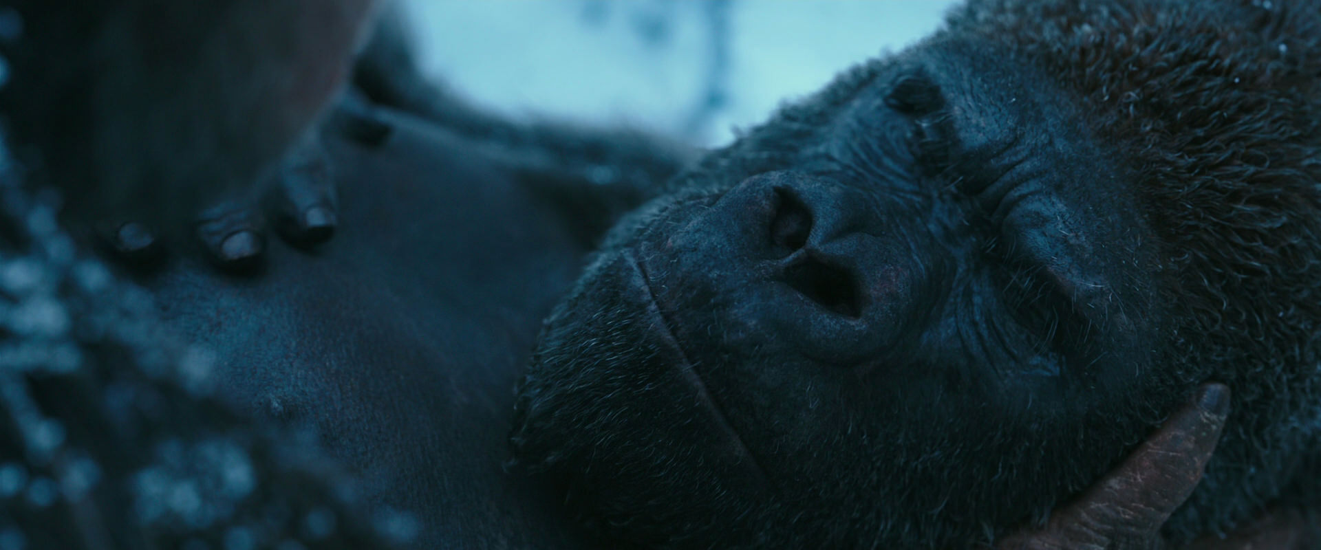 War for the Planet of the Apes (2017) screencap 6618