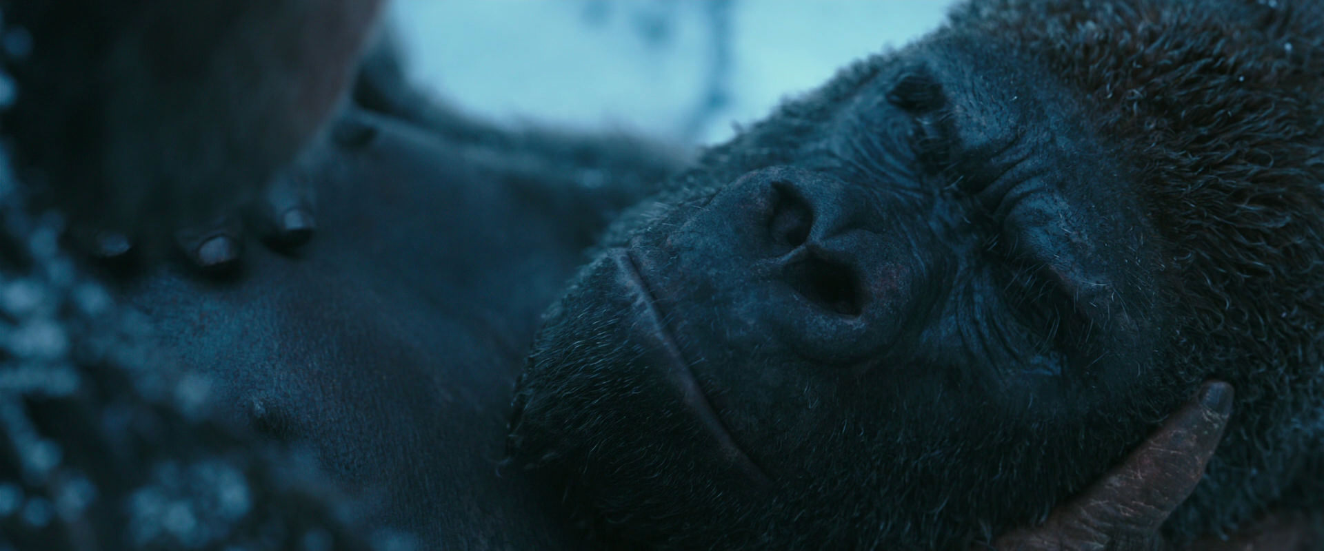 War for the Planet of the Apes (2017) movie still 6619