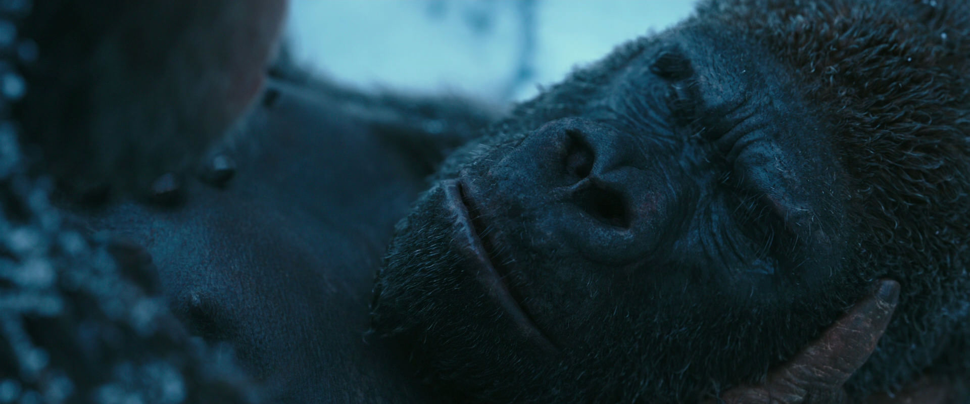 War for the Planet of the Apes (2017) HD screenshot 6620
