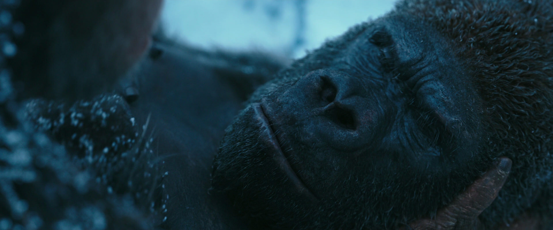War for the Planet of the Apes (2017) screencap 6621