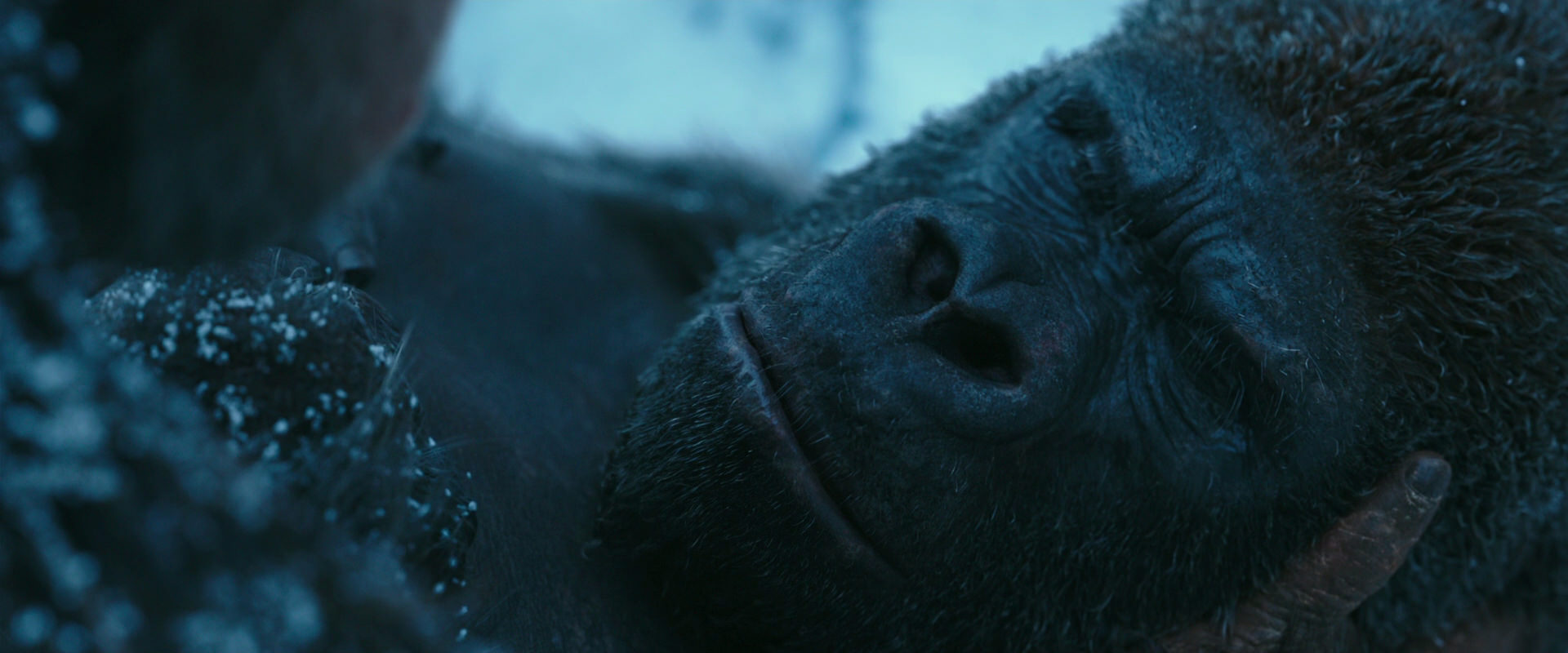 War for the Planet of the Apes (2017) movie still 6622
