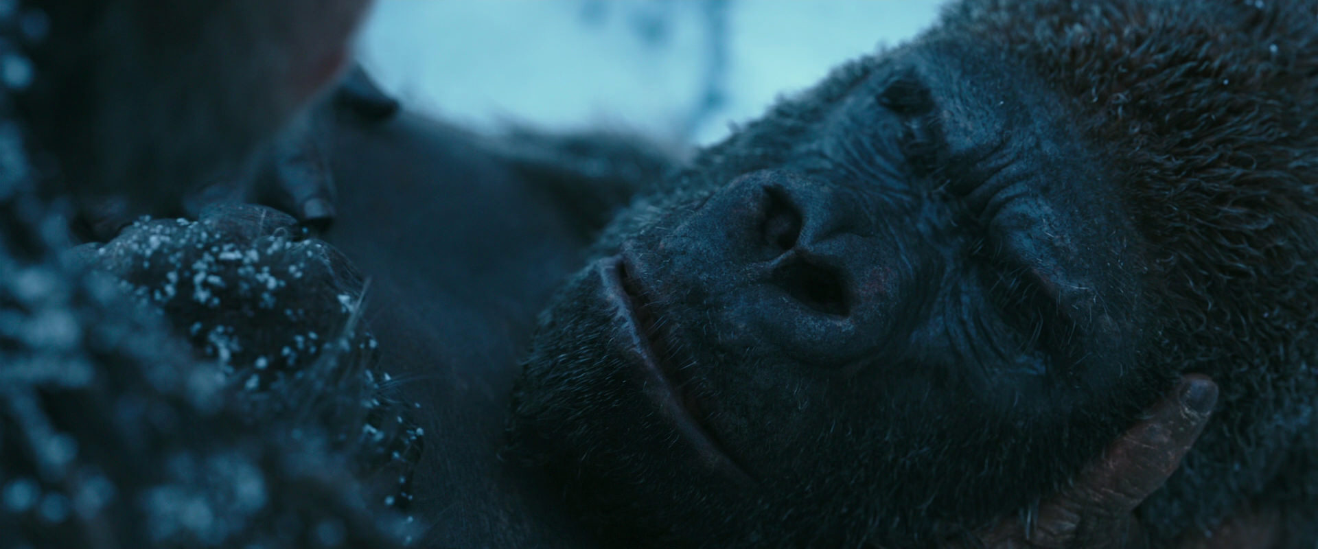 War for the Planet of the Apes (2017) HD screenshot 6623