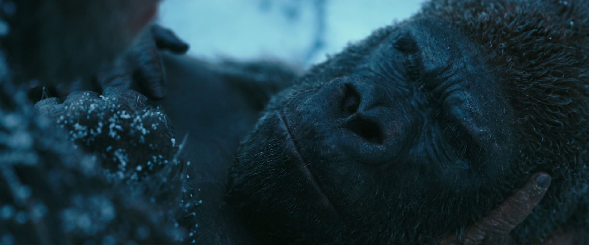 War for the Planet of the Apes (2017) screencap 6624
