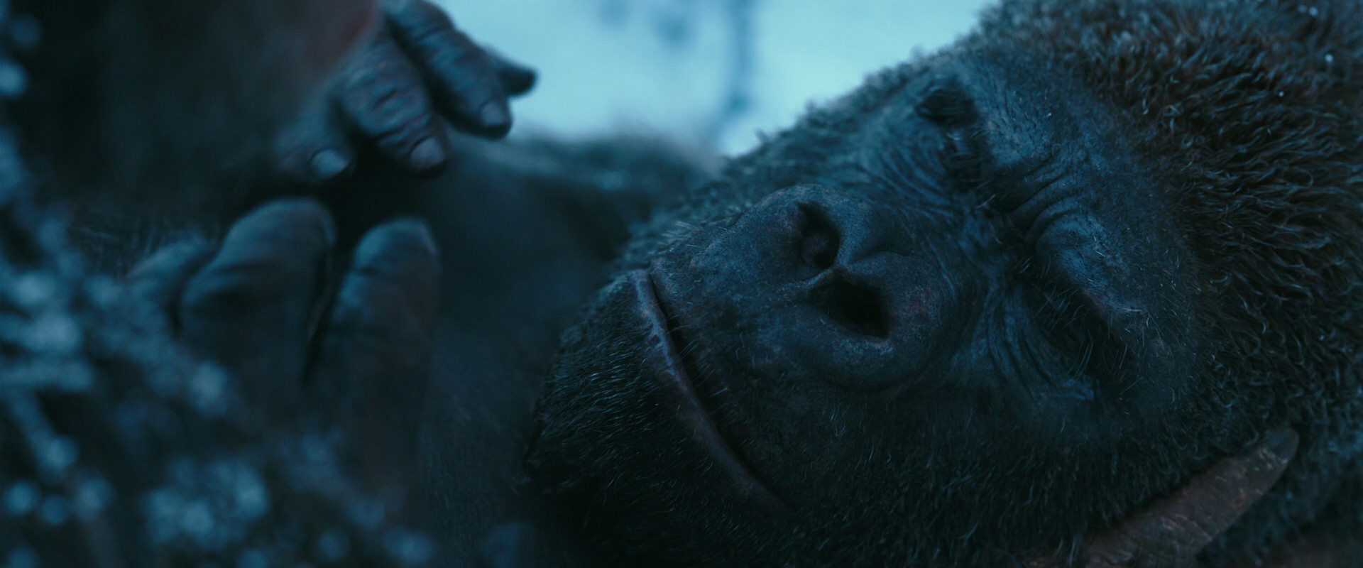 War for the Planet of the Apes (2017) movie still 6625
