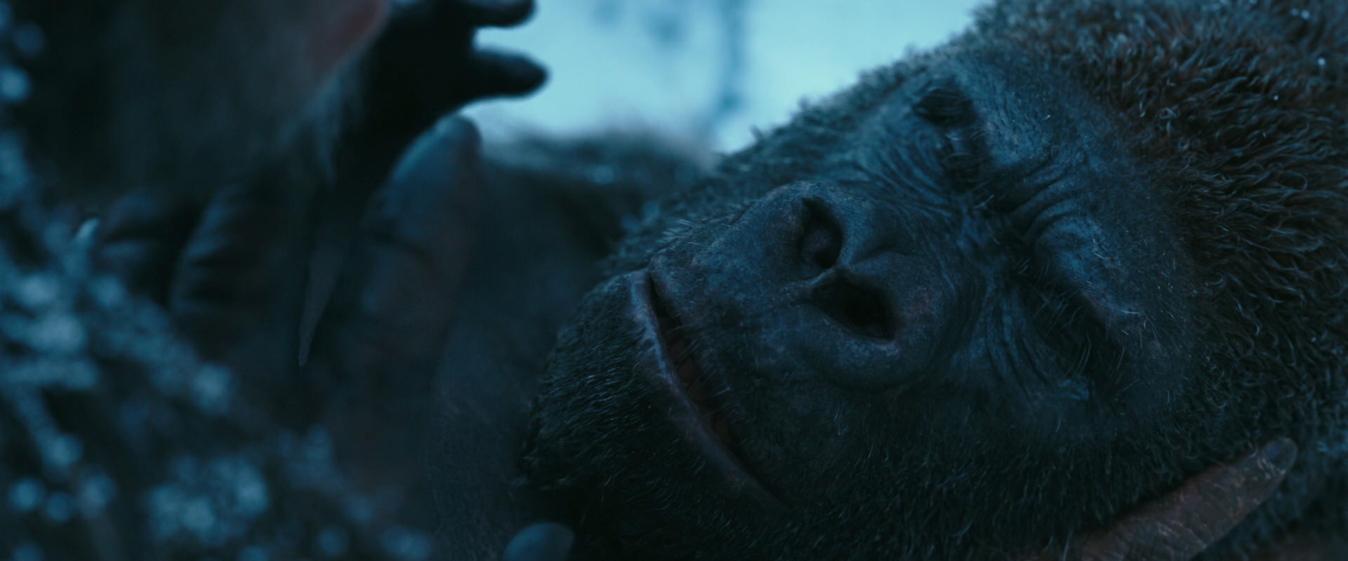 War for the Planet of the Apes (2017) HD screenshot 6626