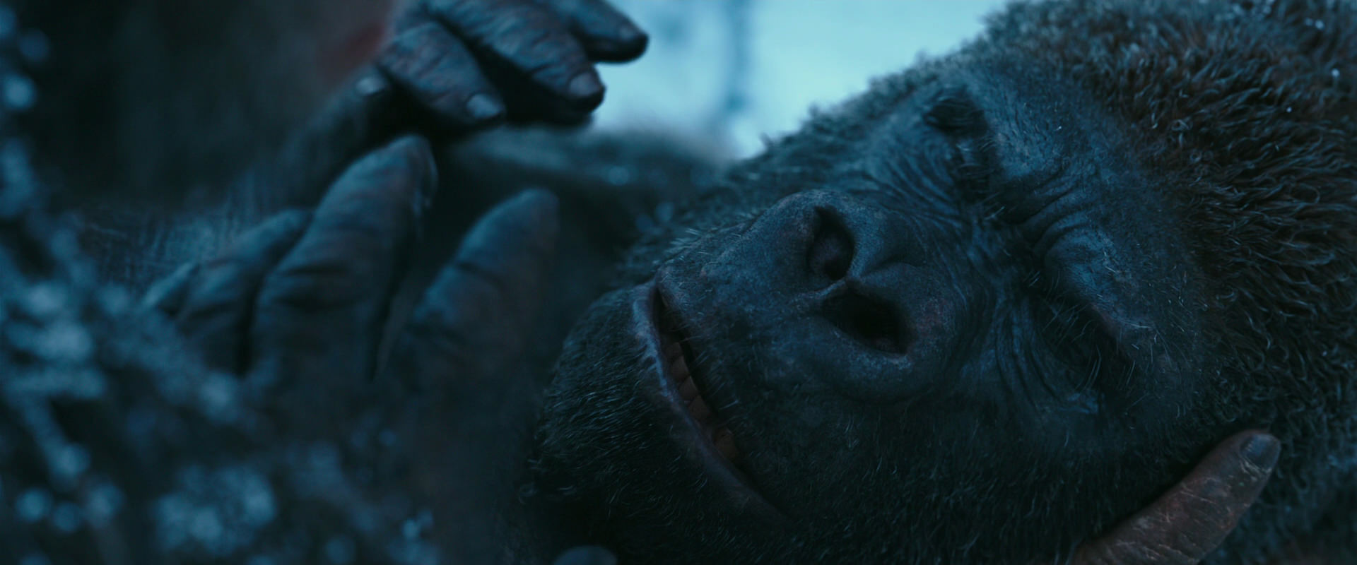 War for the Planet of the Apes (2017) screencap 6627