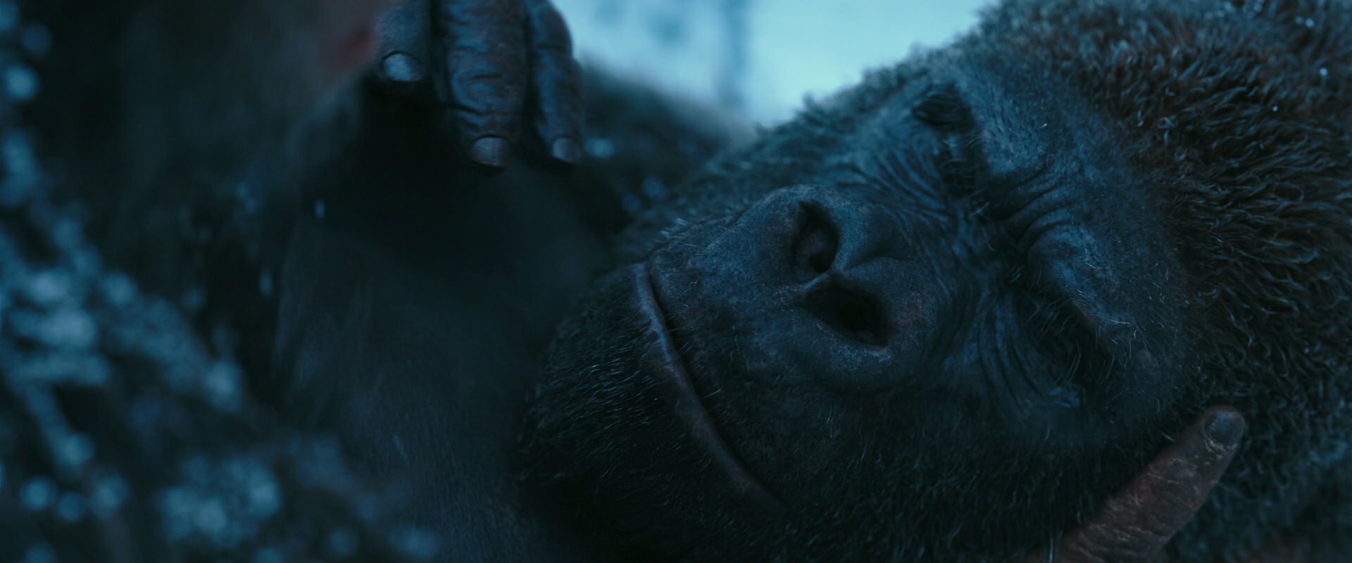 War for the Planet of the Apes (2017) HD screenshot 6629