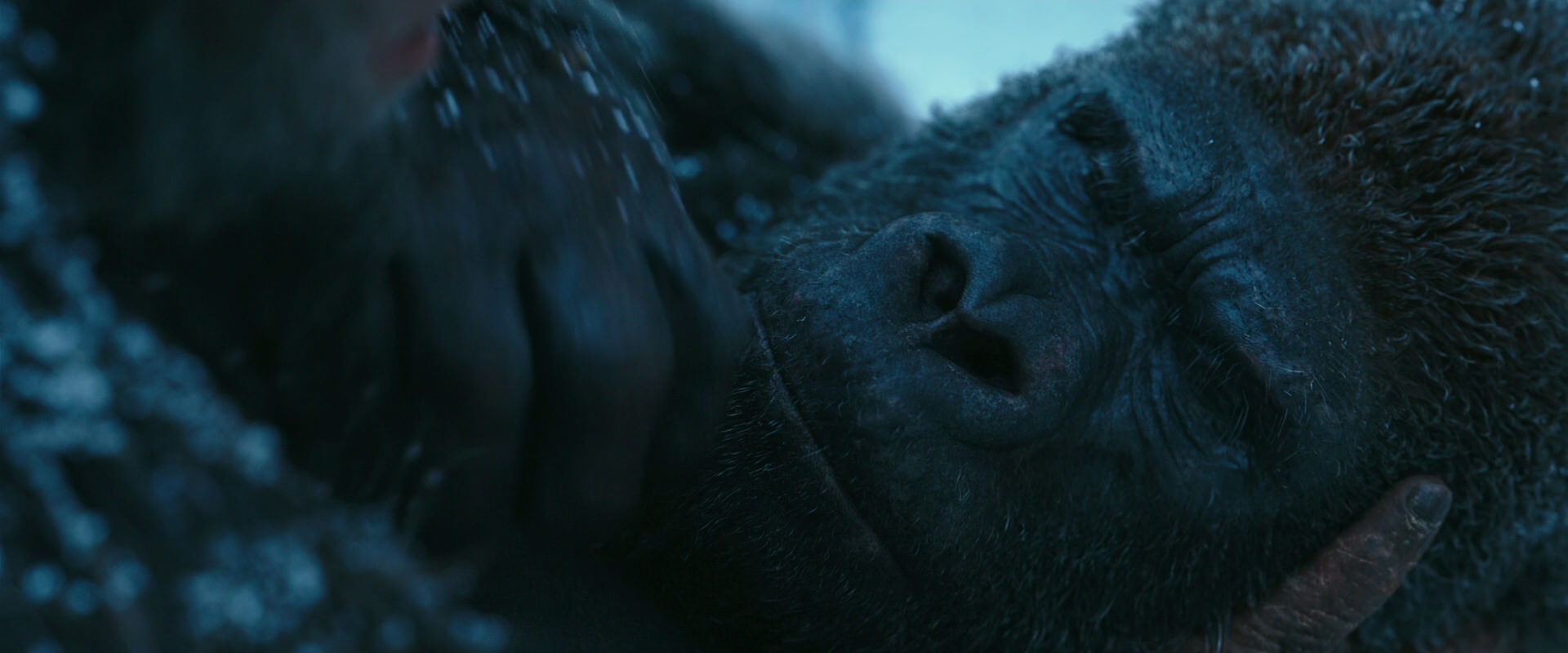 War for the Planet of the Apes (2017) screencap 6630