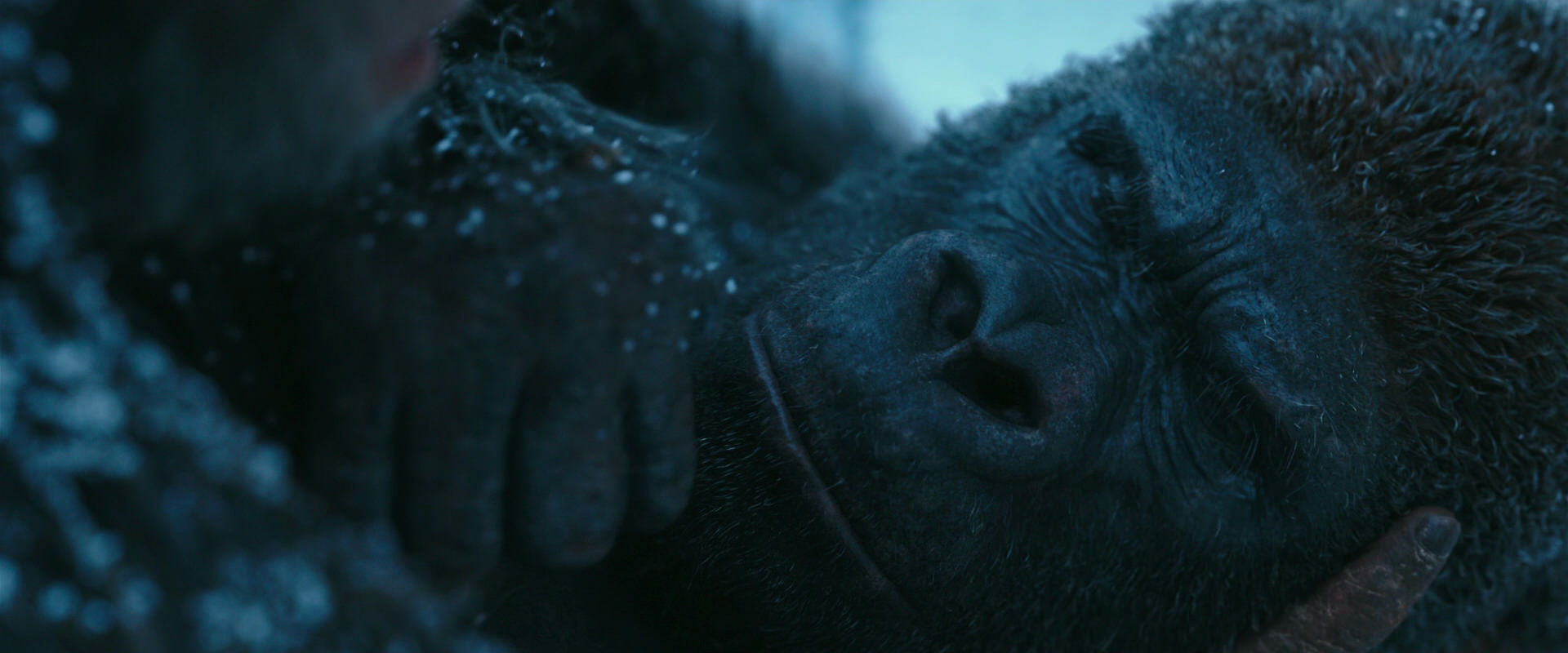 War for the Planet of the Apes (2017) movie still 6631