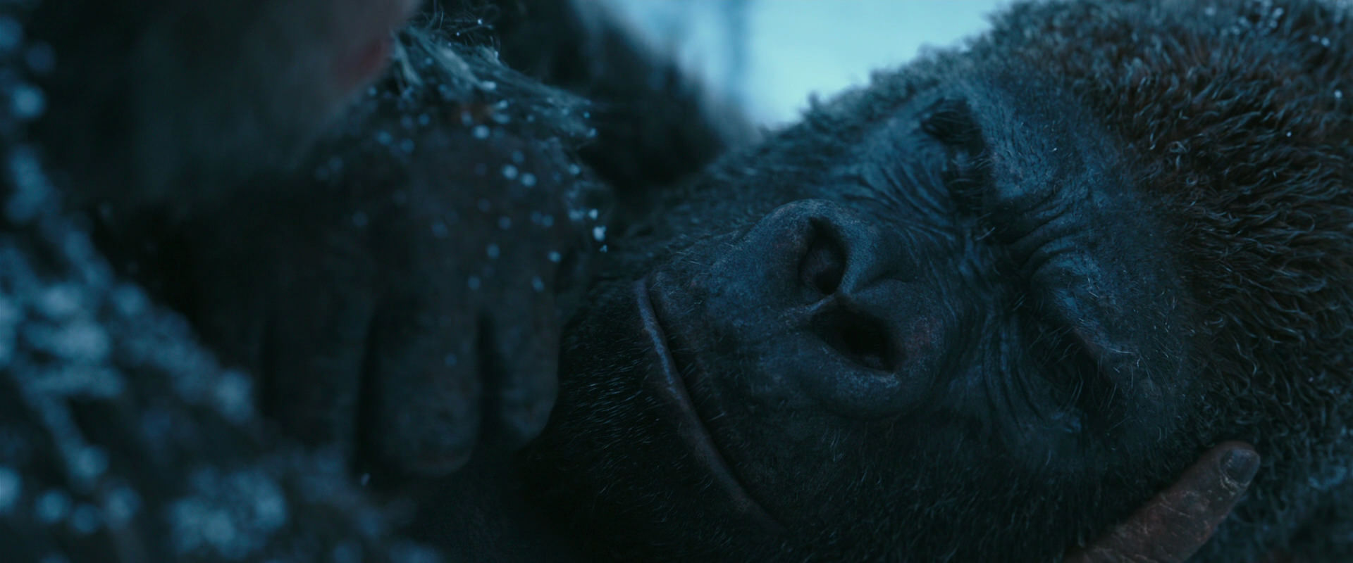 War for the Planet of the Apes (2017) HD screenshot 6632