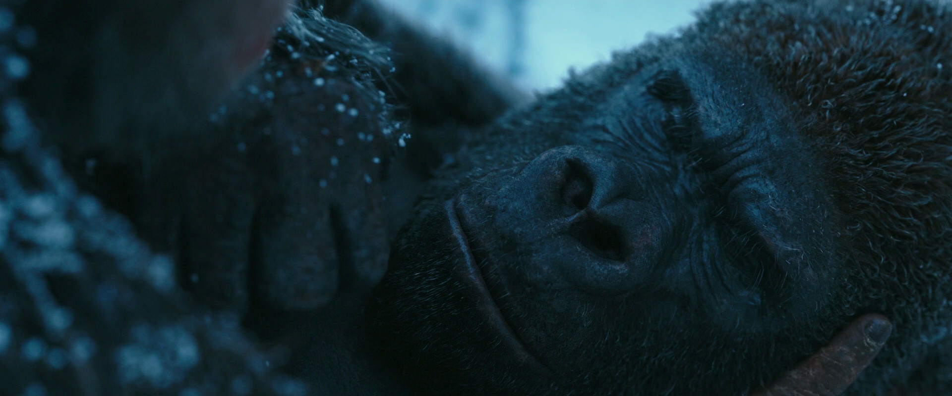 War for the Planet of the Apes (2017) screencap 6633