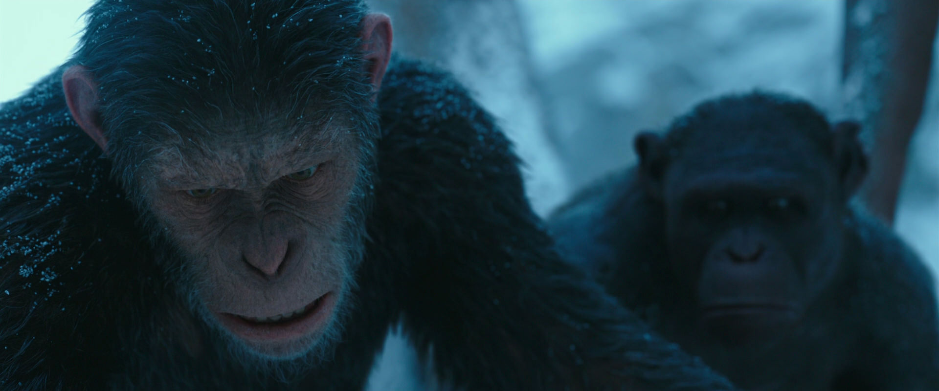 War for the Planet of the Apes (2017) movie still 6634