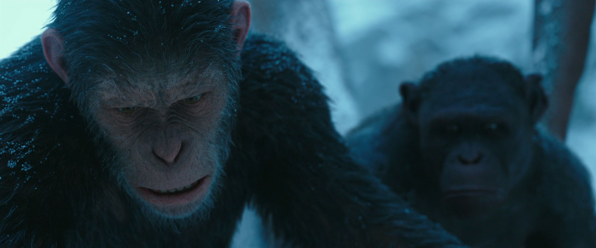 War for the Planet of the Apes (2017) HD screenshot 6635