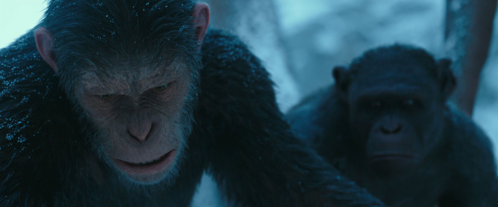 War for the Planet of the Apes (2017) screencap 6636