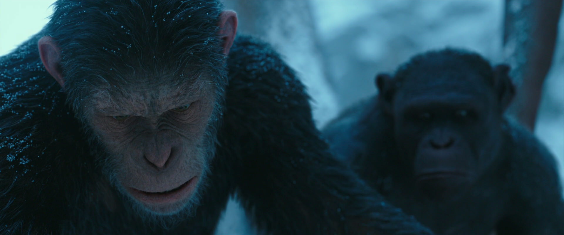War for the Planet of the Apes (2017) movie still 6637