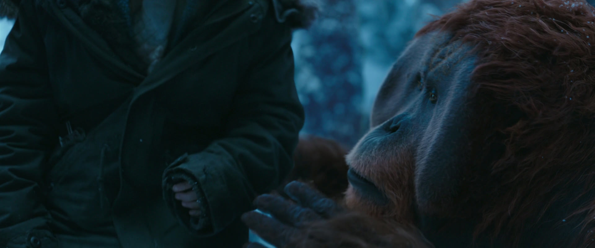 War for the Planet of the Apes (2017) screencap 6639
