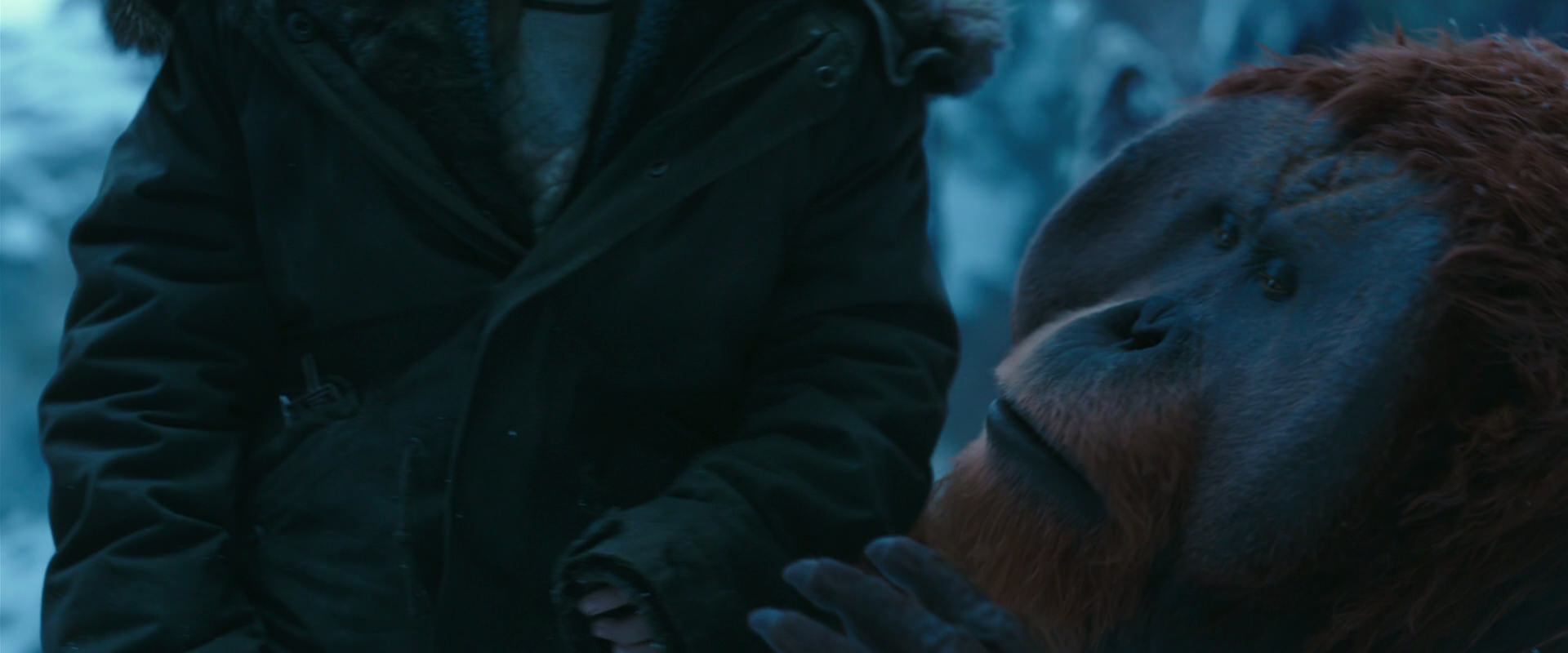 War for the Planet of the Apes (2017) movie still 6640