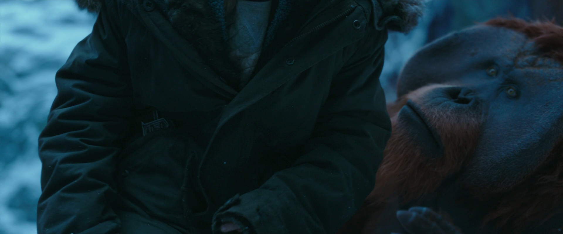 War for the Planet of the Apes (2017) screencap 6642