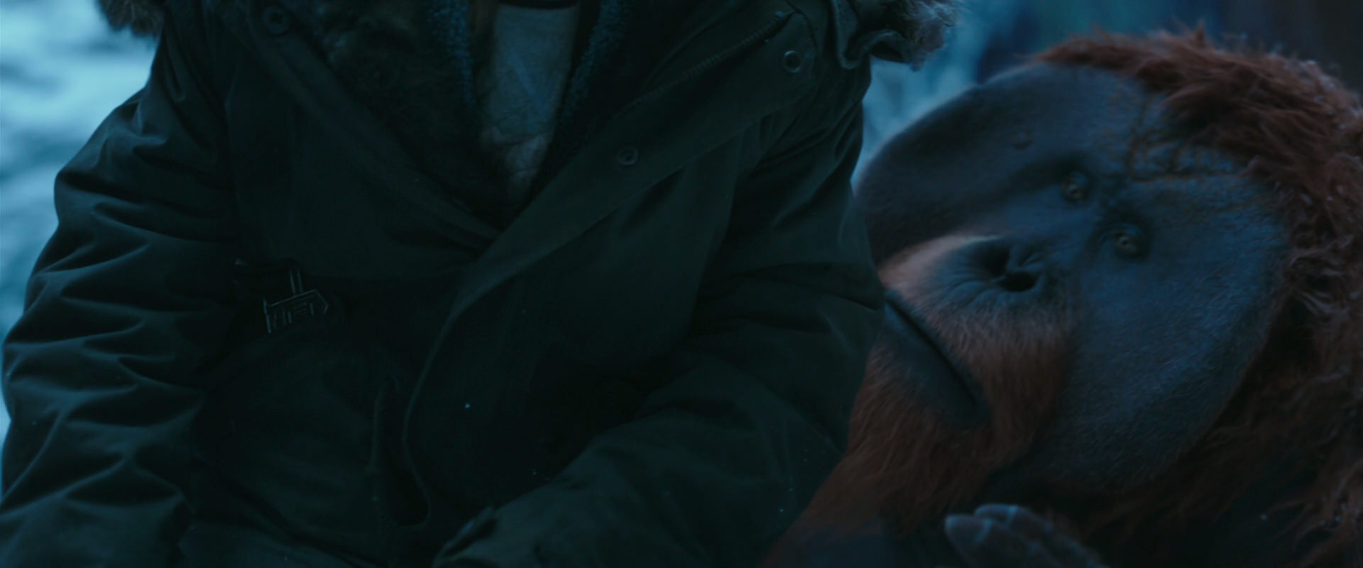 War for the Planet of the Apes (2017) movie still 6643