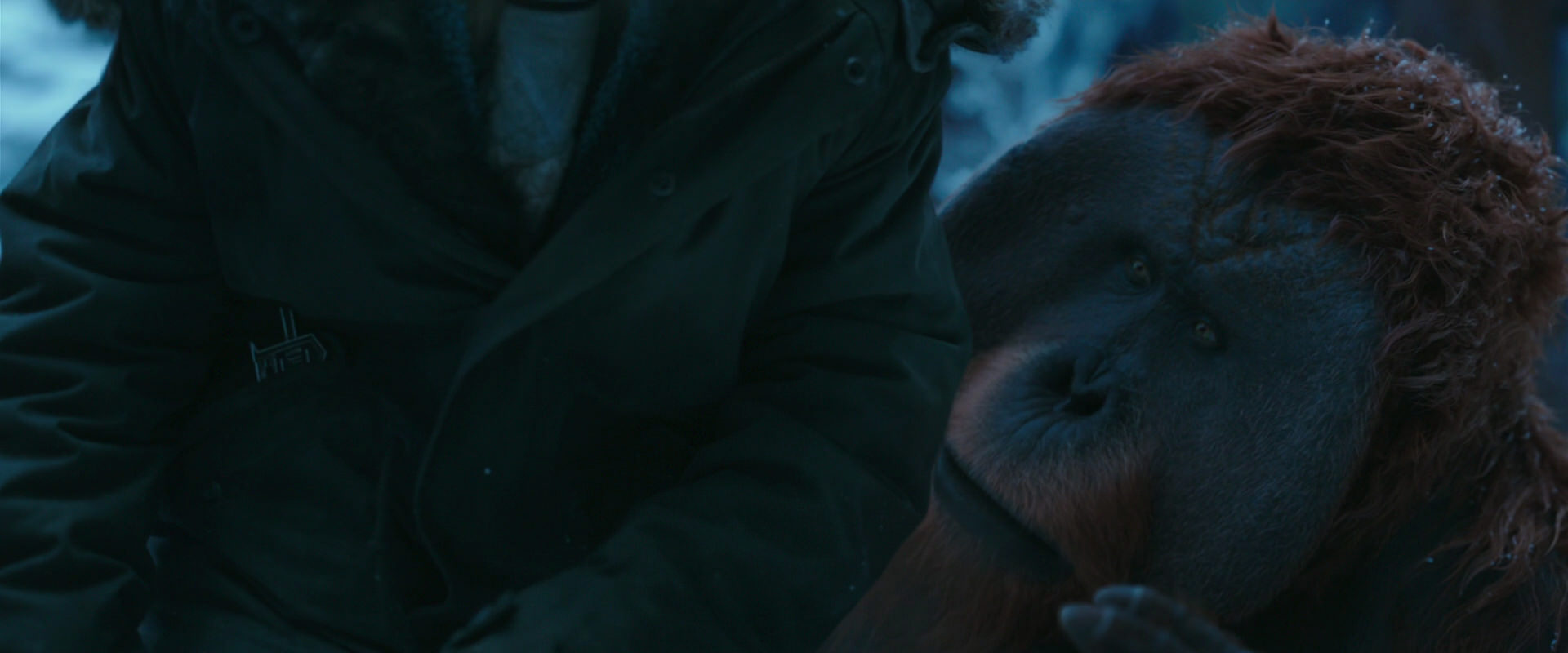 War for the Planet of the Apes (2017) HD screenshot 6644