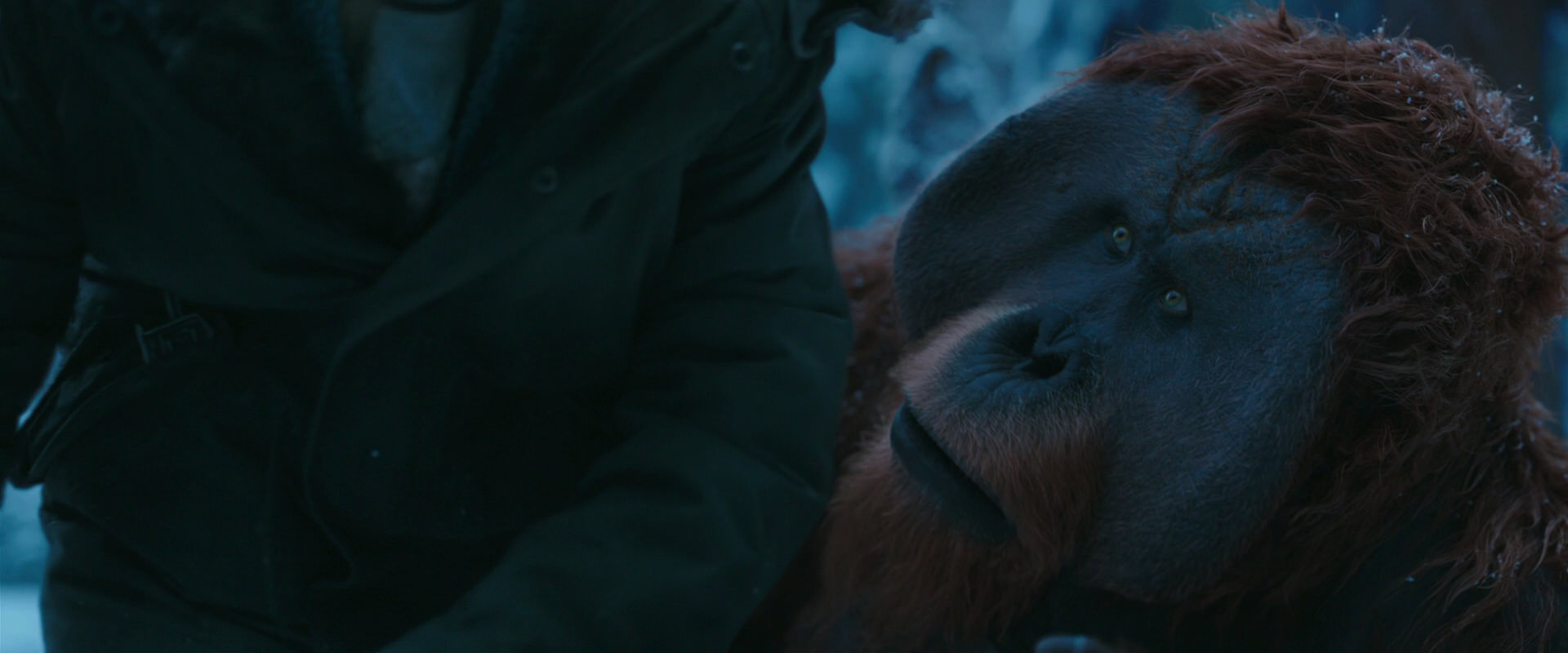 War for the Planet of the Apes (2017) screencap 6645