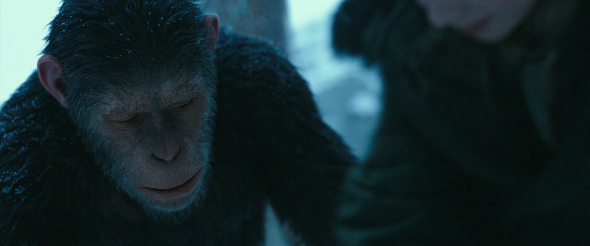War for the Planet of the Apes (2017) movie still 6646