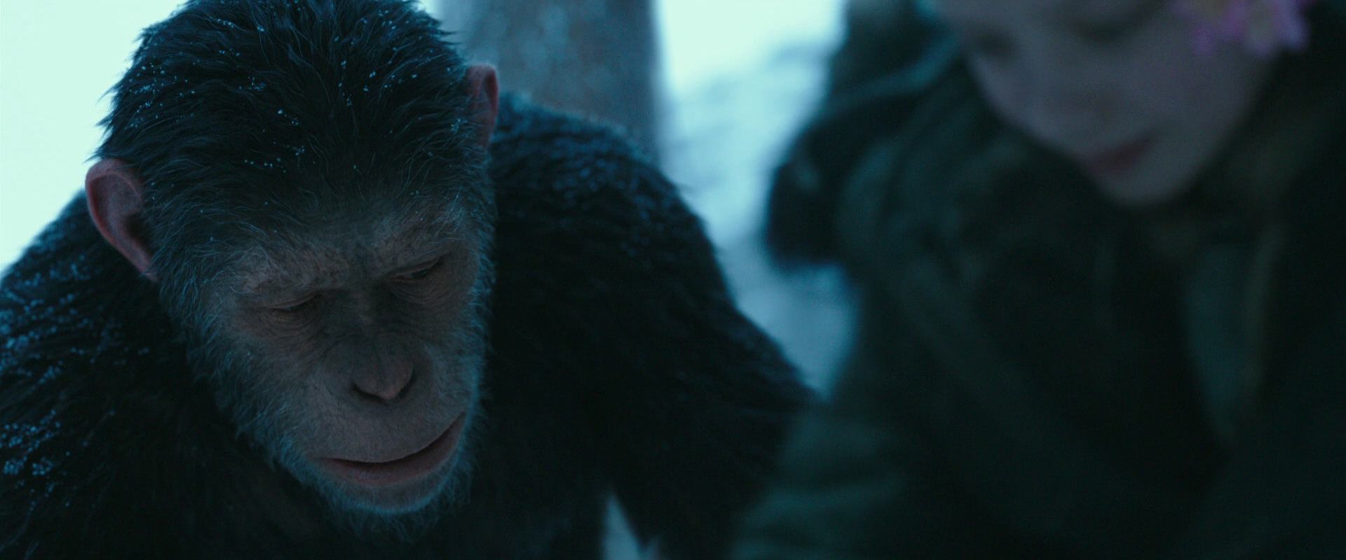 War for the Planet of the Apes (2017) HD screenshot 6647