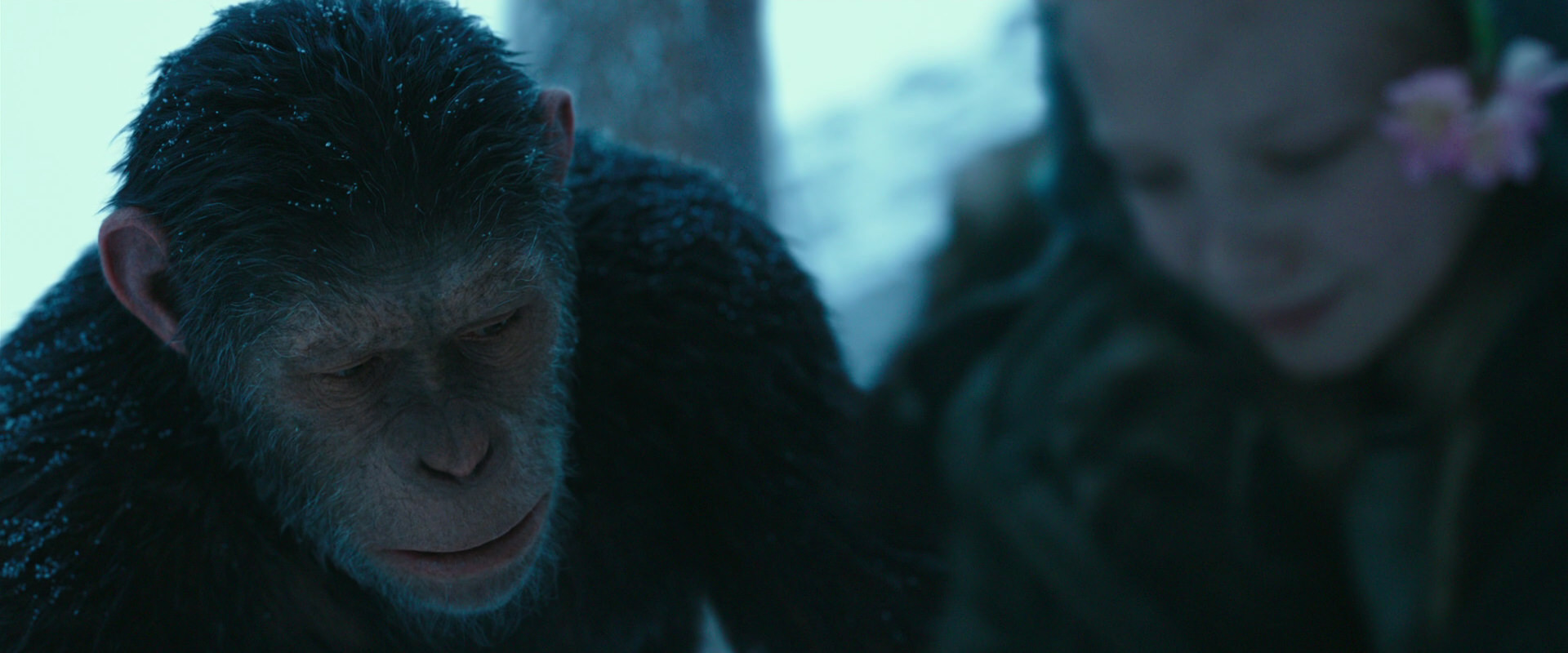 War for the Planet of the Apes (2017) screencap 6648