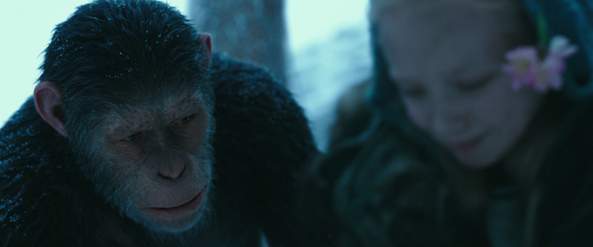 War for the Planet of the Apes (2017) movie still 6649