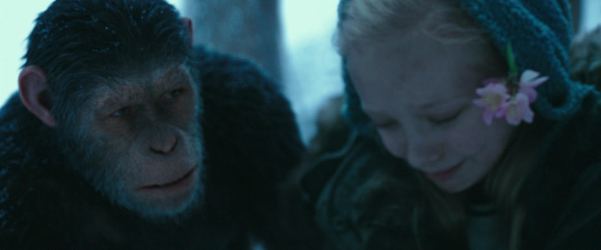 War for the Planet of the Apes (2017) movie still 6652