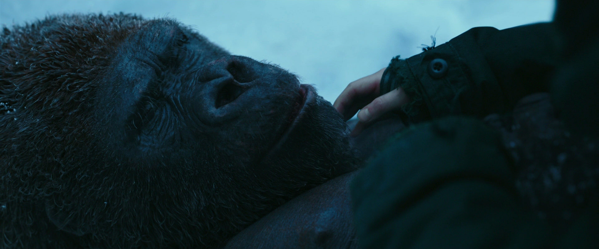 War for the Planet of the Apes (2017) screencap 6660