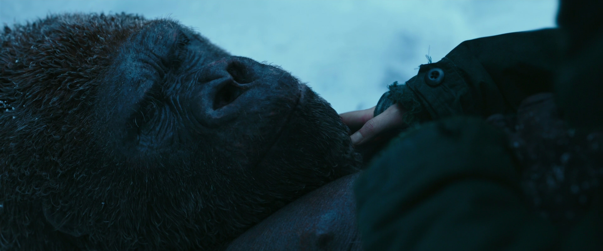 War for the Planet of the Apes (2017) screencap 6663