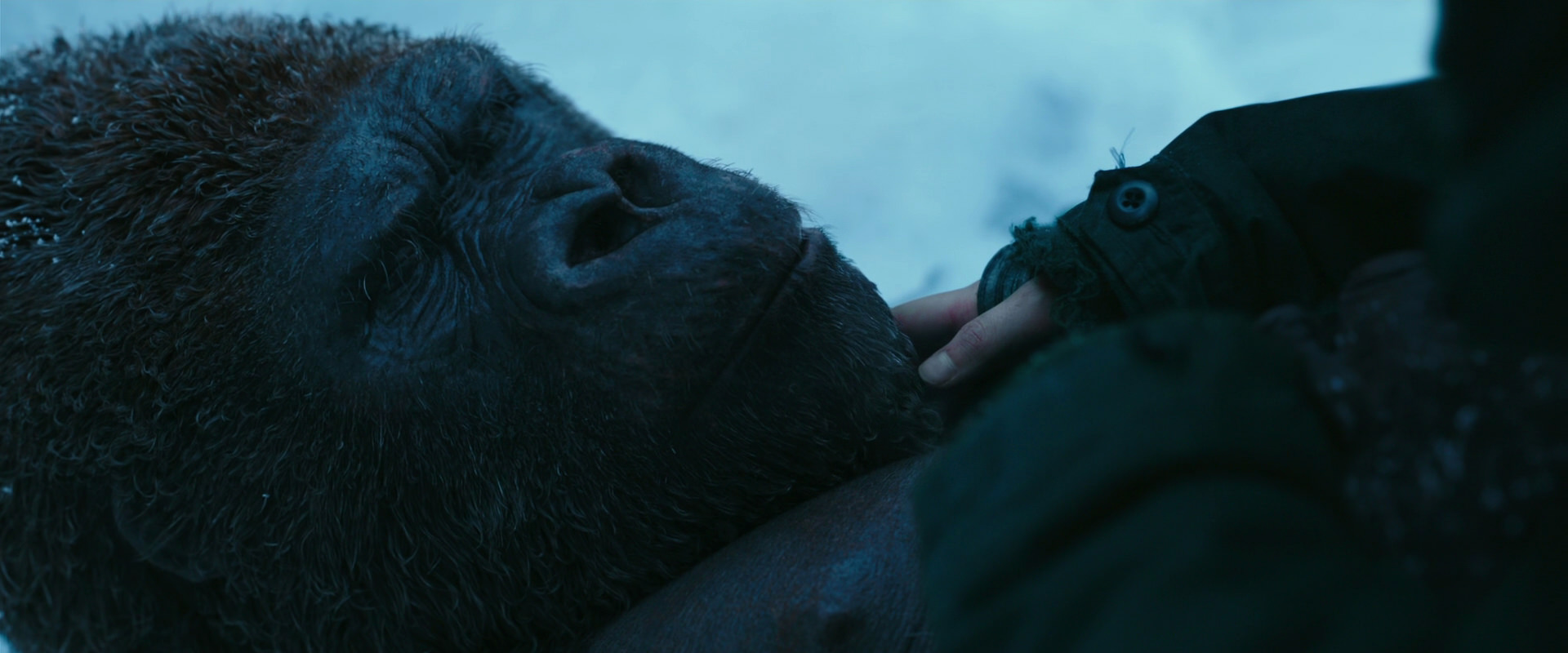 War for the Planet of the Apes (2017) HD screenshot 6665