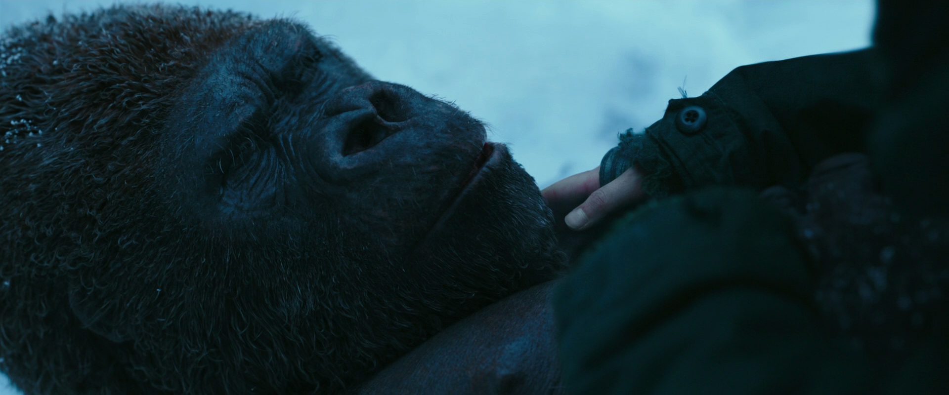 War for the Planet of the Apes (2017) screencap 6666