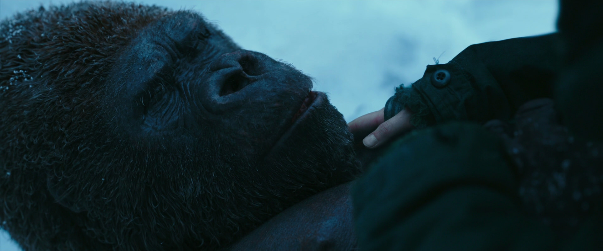 War for the Planet of the Apes (2017) movie still 6667