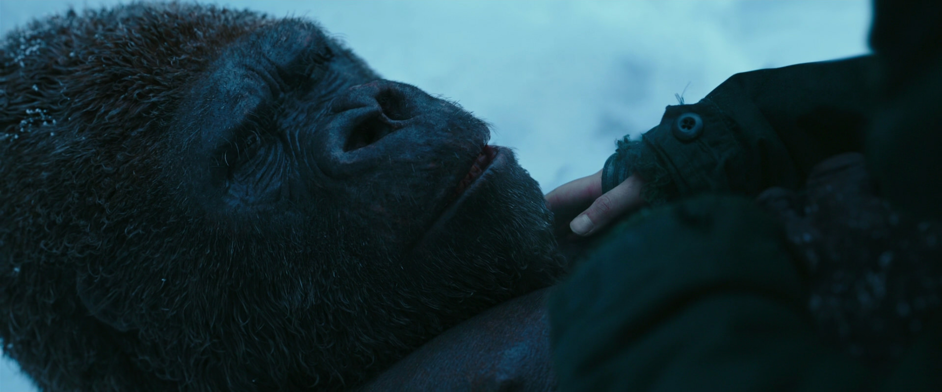 War for the Planet of the Apes (2017) HD screenshot 6668