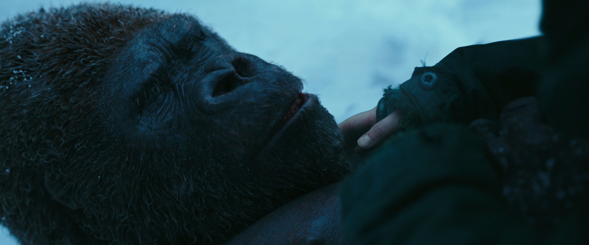War for the Planet of the Apes (2017) screencap 6669
