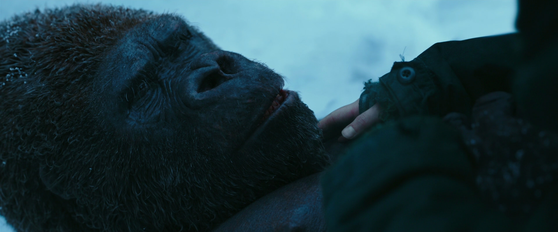 War for the Planet of the Apes (2017) movie still 6670