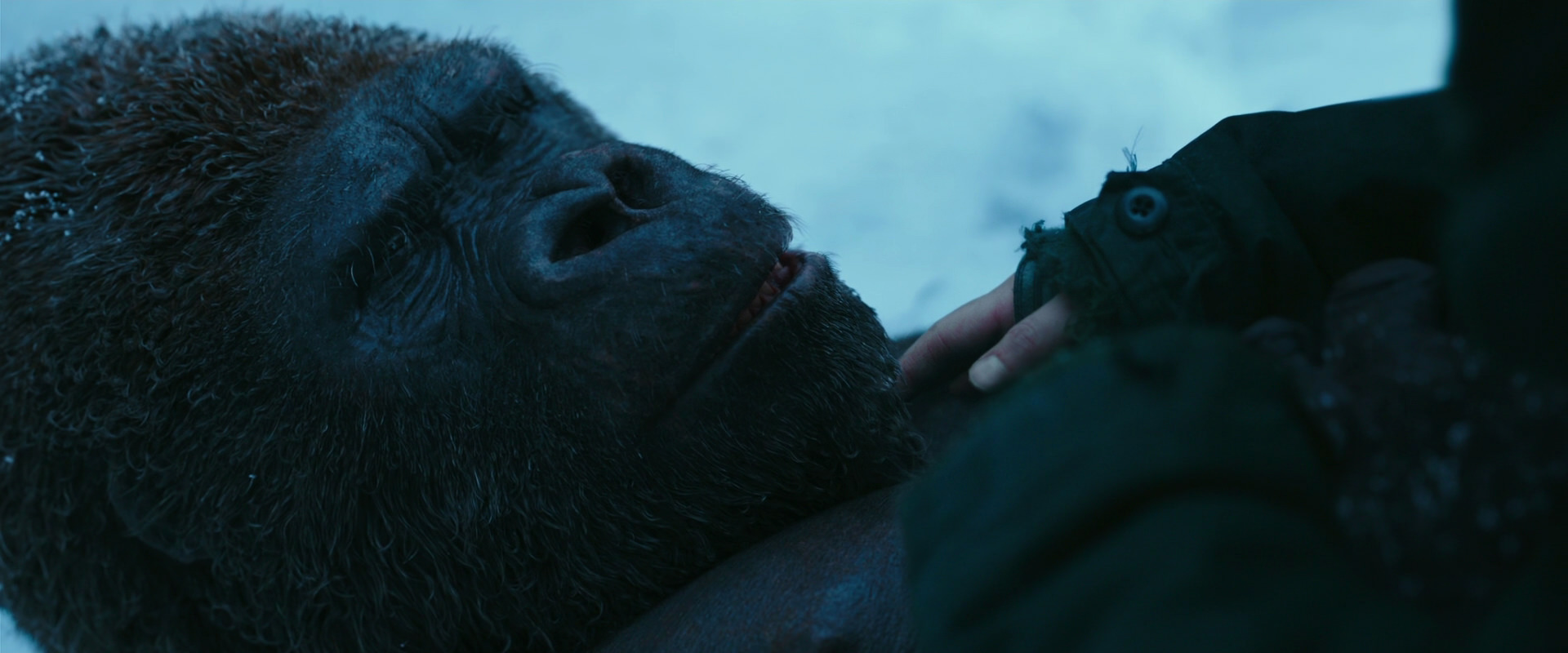 War for the Planet of the Apes (2017) HD screenshot 6671