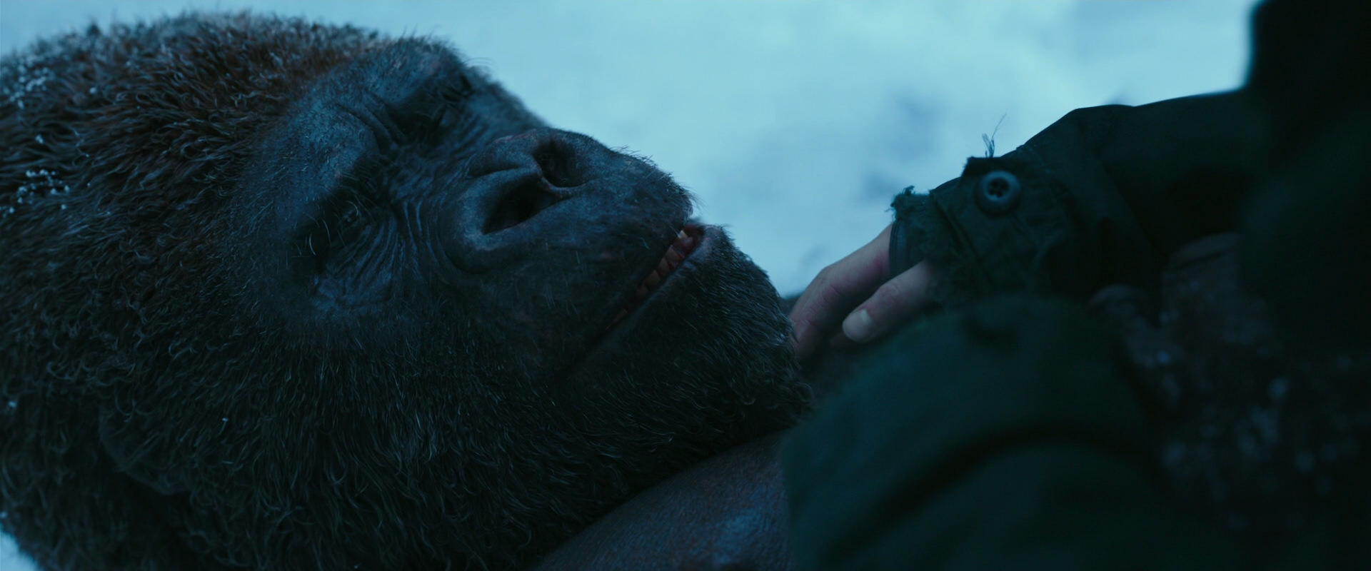 War for the Planet of the Apes (2017) movie still 6673